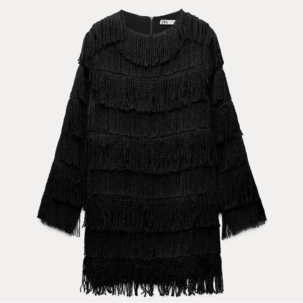 Zara fringe mini dress - Picture 6 of 9